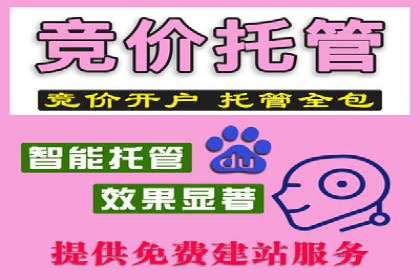 百度推广优化实战案例精选
